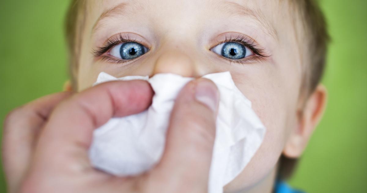 nosebleeds-causes-and-how-to-prevent-them-cushelle-cushelle