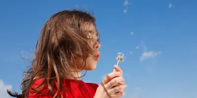 hay fever home remedies
