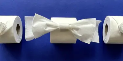 Toilet paper roll on wall with folded origami end